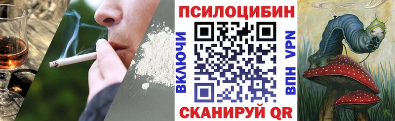 Псилоцибиновые грибы GOLDEN TEACHER  Купить закладки  Мосальск 