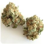 Шишки "White Widow"  (Белая вдова)  Гидропоника -  Бошка VHQ в Мосальске